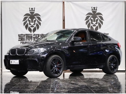 宝马X6 M 2010款 X6 M