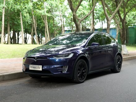 Model X 2017款 Model X 100D 长续航版
