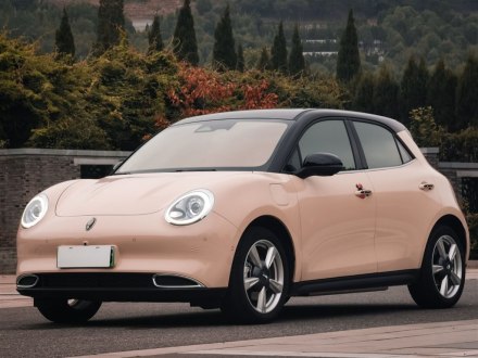 欧拉好猫 2021款 400km标准续航 雅典娜版 三元锂