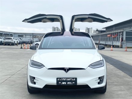 Model X 2017款 Model X 100D 长续航版