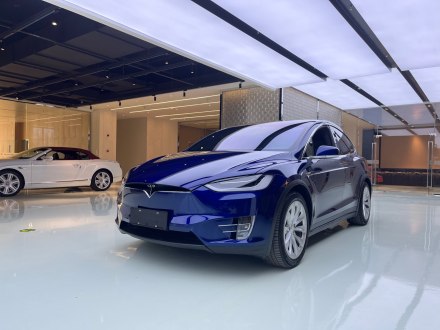Model X 2017款 Model X 100D 长续航版