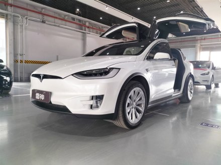 Model X 2017款 Model X 100D 长续航版