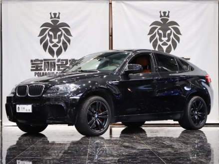 宝马X6 M 2010款 X6 M