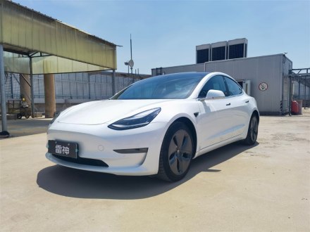 Model 3(进口) 2019款 长续航全轮驱动版