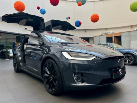 Model X 2020款 Performance 高性能版