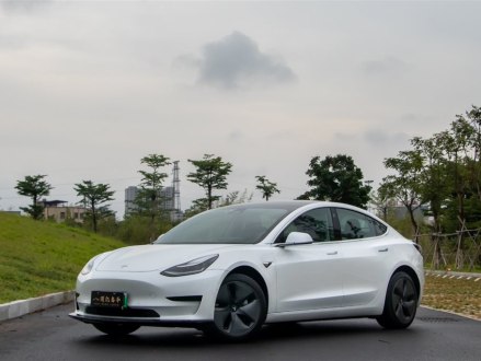 Model 3(进口) 2019款 标准续航后驱升级版