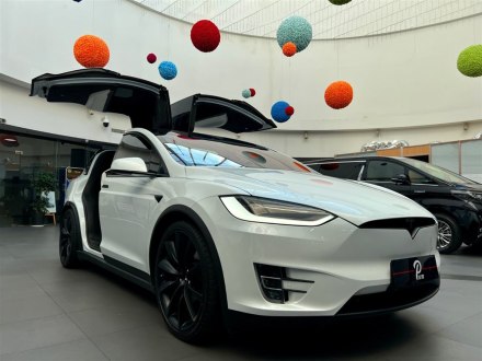 Model X 2020款 Performance 高性能版