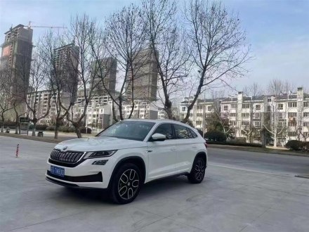 柯迪亚克GT 2019款 TSI330 两驱豪华版 国V