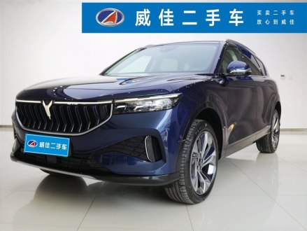 岚图FREE 2021款 四驱增程版专属豪华套装