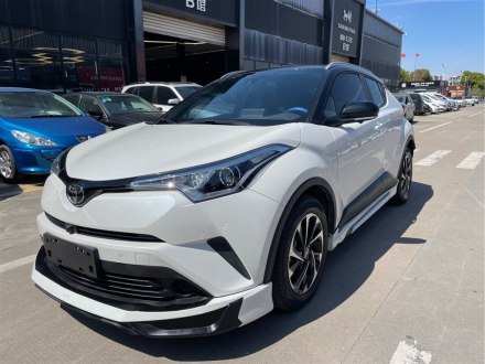 奕泽IZOA 2020款 2.0L 奕享版