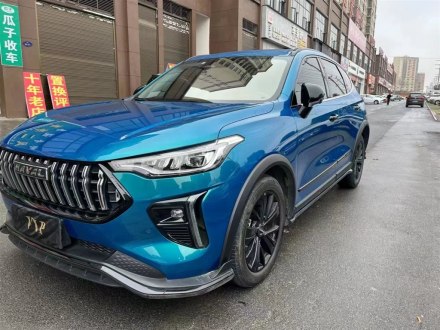 哈弗赤兔 2021款 激擎版 1.5T 黄金兔