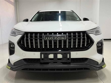 哈弗赤兔 2021款 激擎版 1.5T 铂金兔