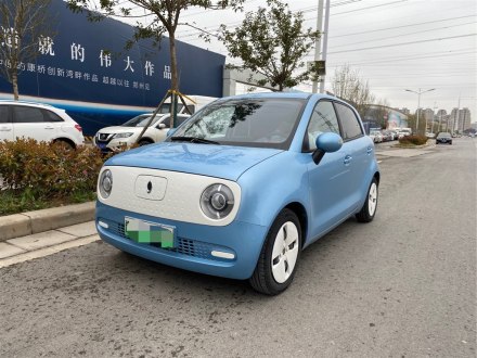 欧拉黑猫 2021款 301km 基础型