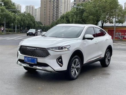 哈弗F7x 2019款 1.5T 两驱极智潮玩版