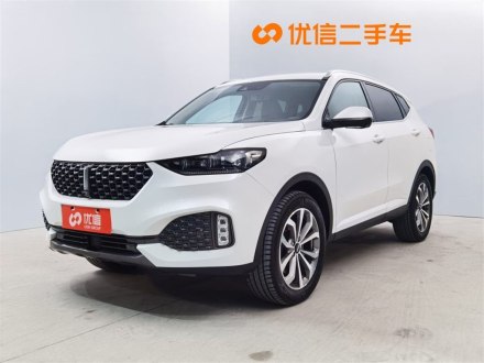 魏牌 VV6 2020款 2.0T 两驱智护+