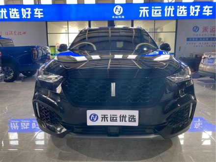 魏牌 VV6 2018款 2.0T 两驱超豪型 国V
