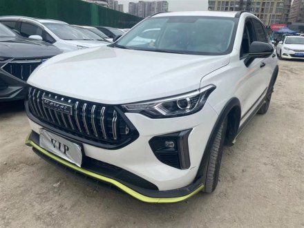 哈弗赤兔 2021款 激擎版 1.5T 铂金兔