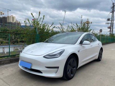 Model 3进口 2019款 长续航后驱版
