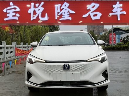 逸动新能源 2022款 EV460 智行网约版 磷酸铁锂