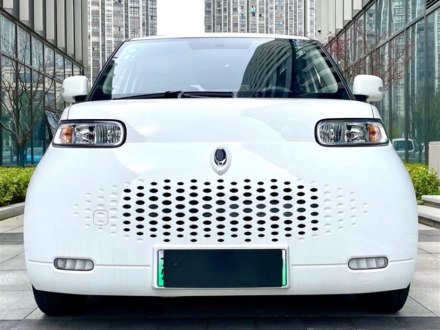 欧拉白猫 2020款 360km 豪华型