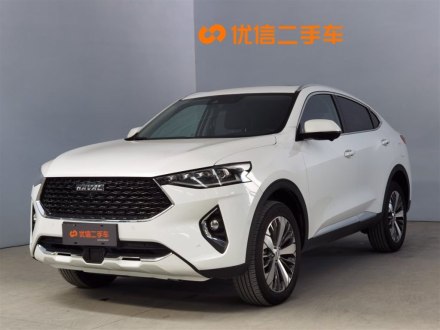 哈弗F7x 2019款 2.0T 两驱极智科技版