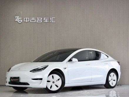 Model 3进口 2019款 标准续航后驱升级版