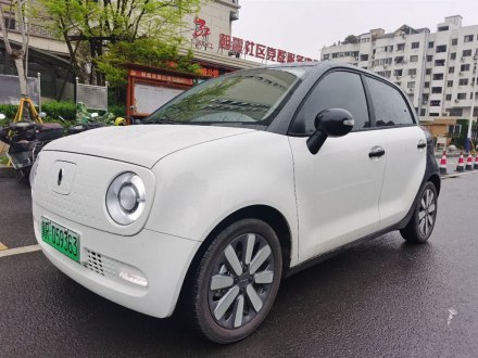 欧拉黑猫 2021款 351km 豪华型