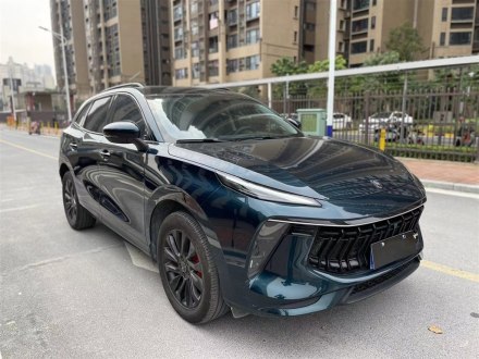 风行T5 EVO 2021款 1.5TD DCT荣耀版