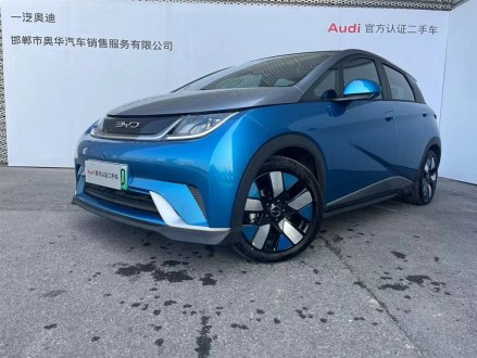 海豚 2021款 401km 骑士版