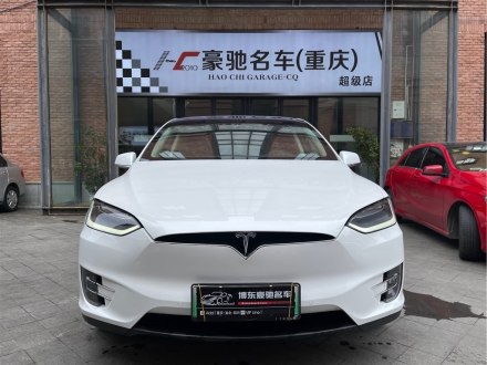 Model X 2017款 Model X 100D 长续航版