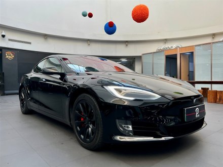 Model S 2019款 Performance 高性能版