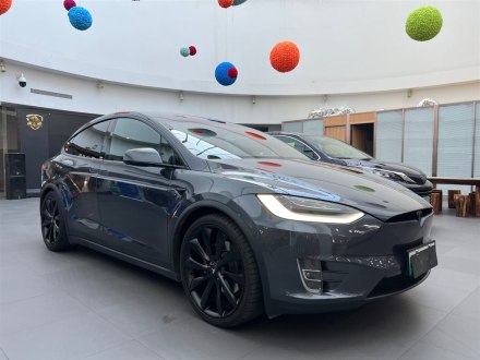 Model X 2019款 Performance 高性能版