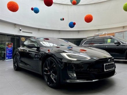 Model S 2020款 Performance 高性能版