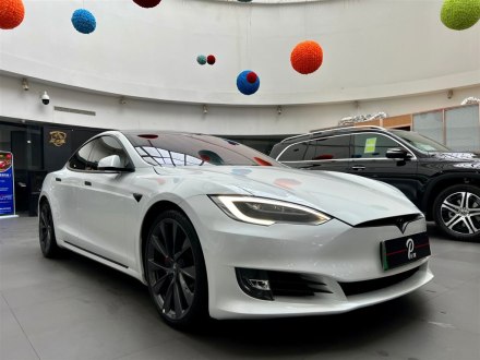 Model S 2020款 Performance 高性能版
