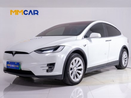 Model X 2019款 长续航版
