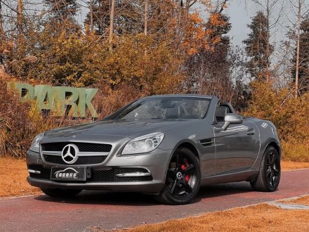 奔驰SLK级 2011款 SLK 200 豪华运动型