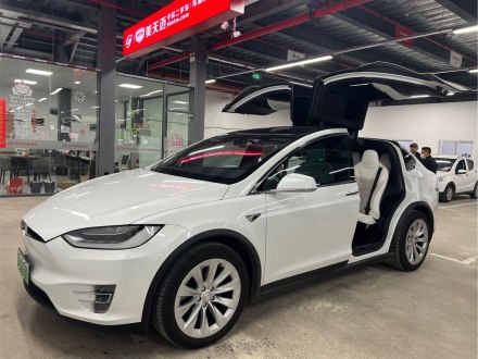Model X 2016款 Model X 75D