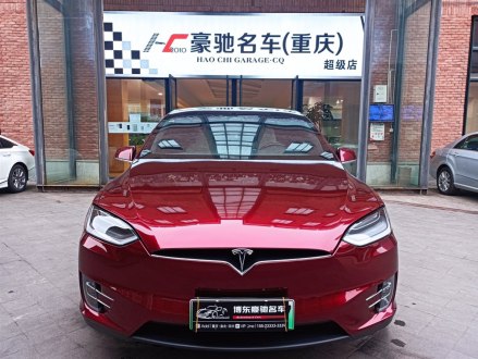 Model X 2019款 长续航版