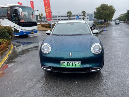 欧拉好猫 2021款 400km标准续航 维纳斯版 三元锂