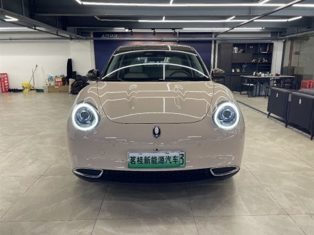 欧拉好猫 2021款 400km标准续航 雅典娜版 磷酸铁锂