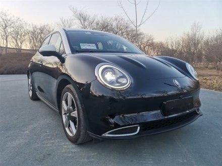 欧拉好猫 2021款 500km长续航 波塞冬版 三元锂