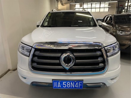 炮 2020款 2.0T自动柴油四驱尊享版GW4D20M