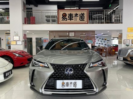 雷克萨斯UX新能源 2020款 300e 纯·享版