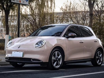 欧拉好猫 2021款 400km标准续航 雅典娜版 三元锂