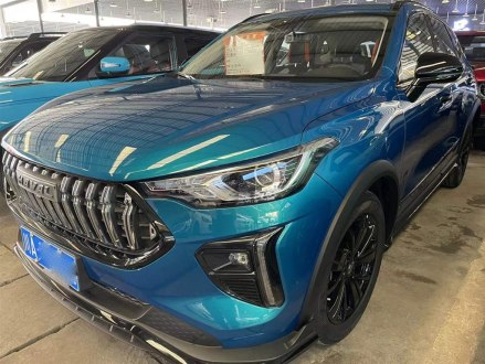 哈弗赤兔 2021款 激擎版 1.5T 铂金兔