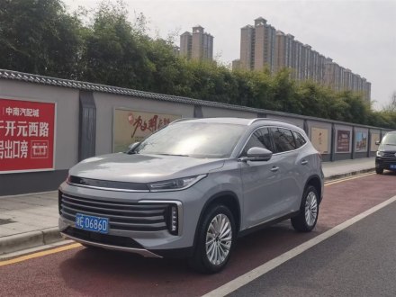星途凌云 2021款 290T 两驱星耀版