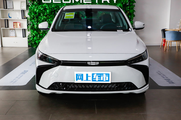 吉利几何G6 500KM 2024款 公务版