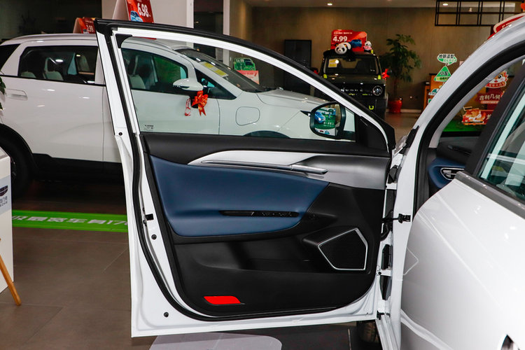 吉利几何G6 500KM 2024款 公务版