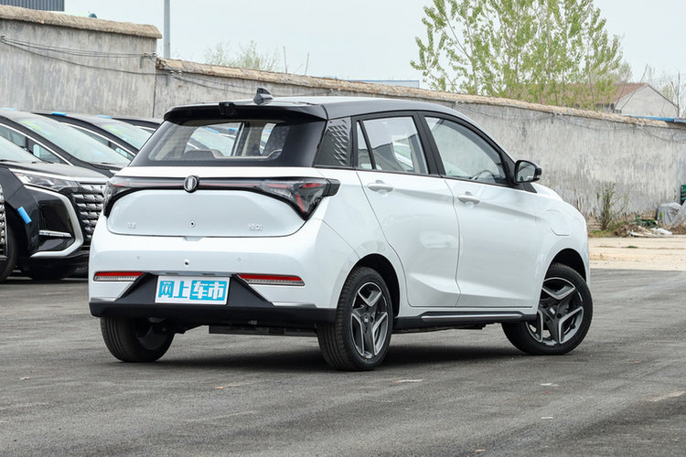 悦01  2024款 335欣悦+版