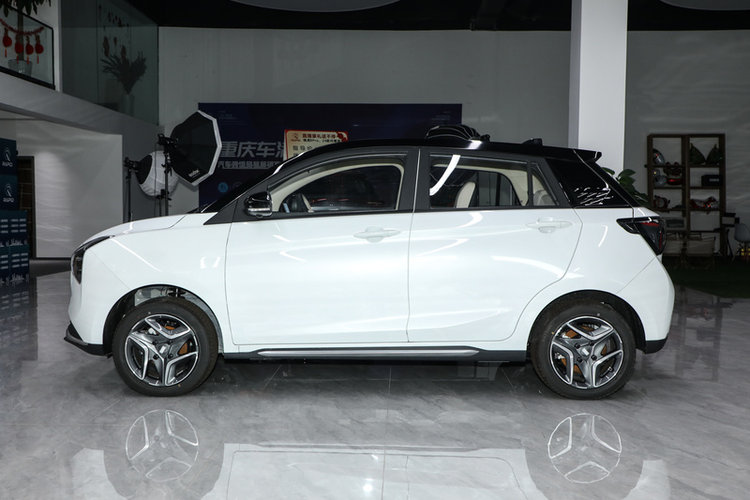 悦01  2024款 335领悦版